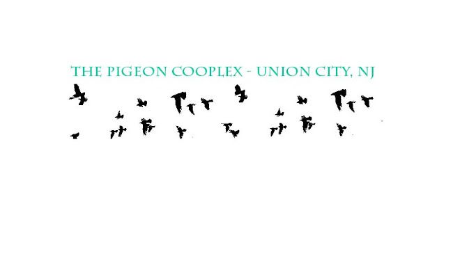 The Pigeon Cooplex