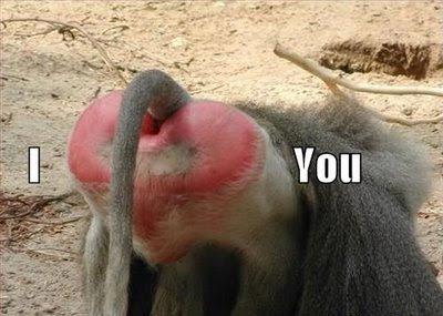 funny-pictures-baboon-butt-heart.jpg