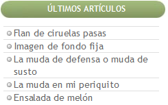 Esto es un ejemplo de bordes redondeados en el título del gadget