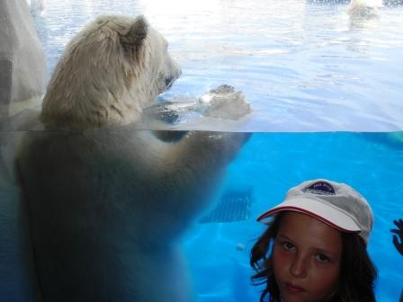 [polar+bear+brig+not+impressed.jpg]