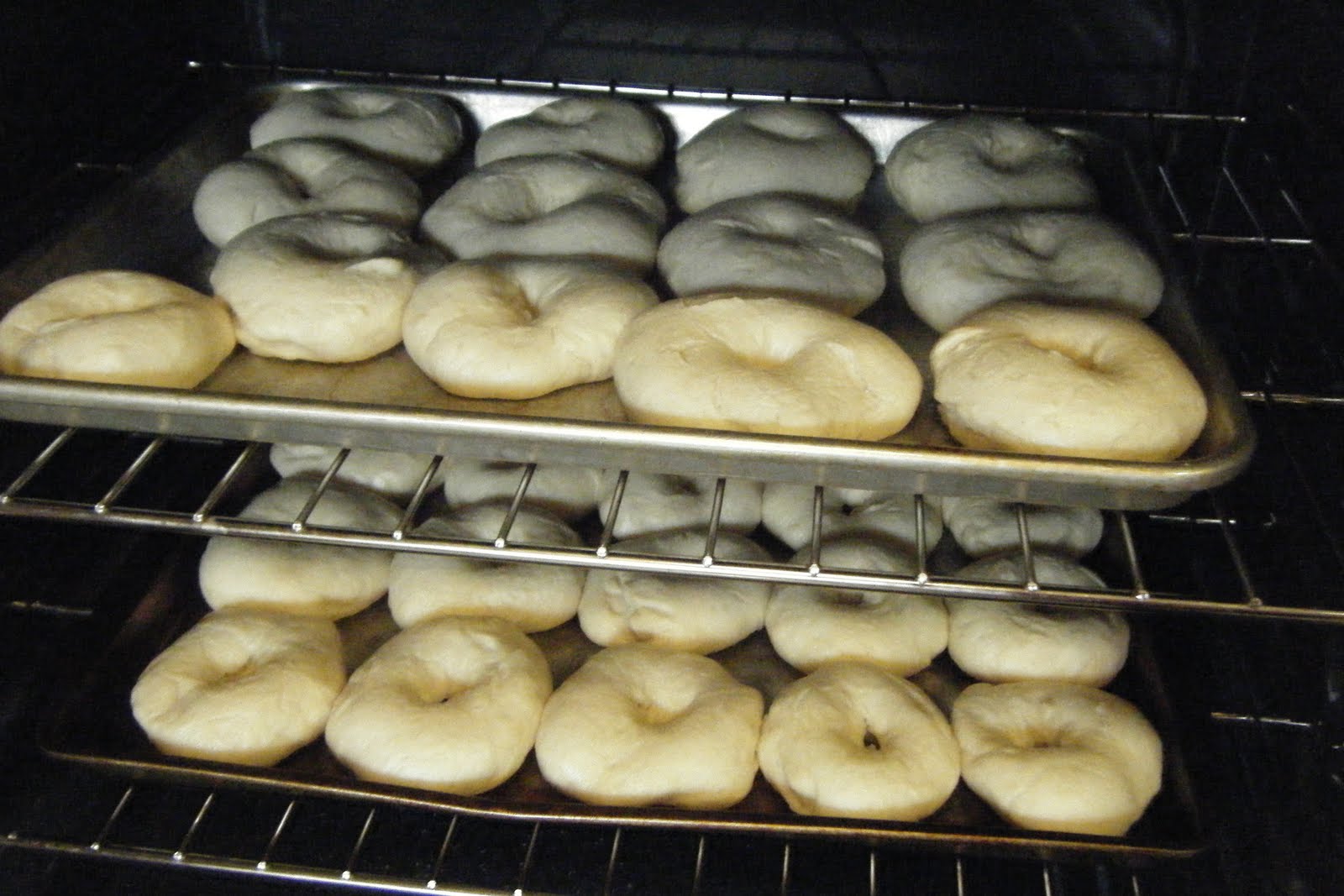 Fantastic Family Recipes Bagels