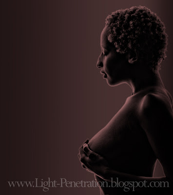 pgp090: the artist and model and silhouette...
