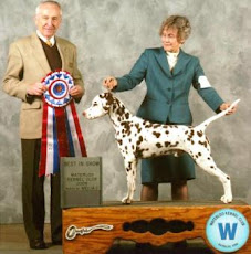 Argus Goes Best In Show
