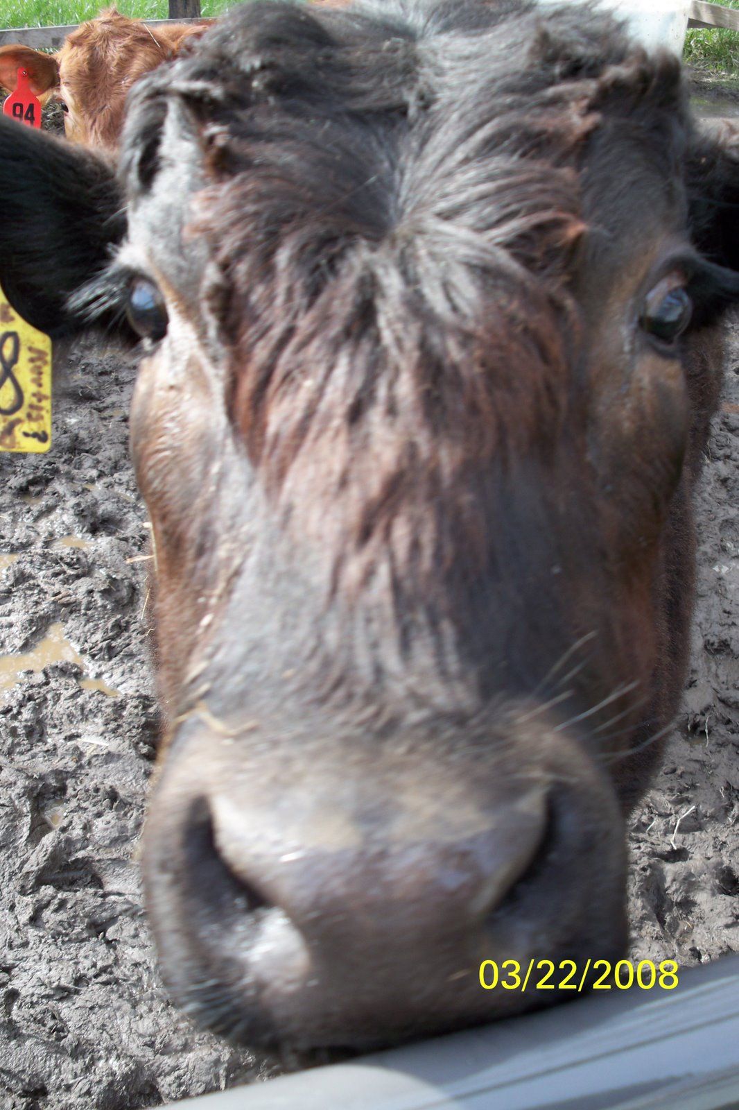 [100_0170(rev+0).jpg]