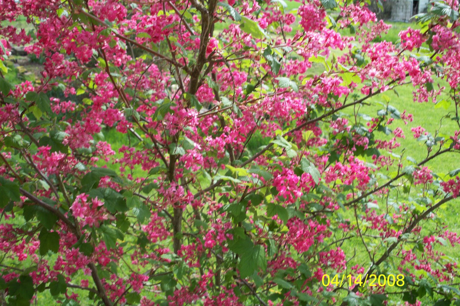 [import+41408+064.JPG]