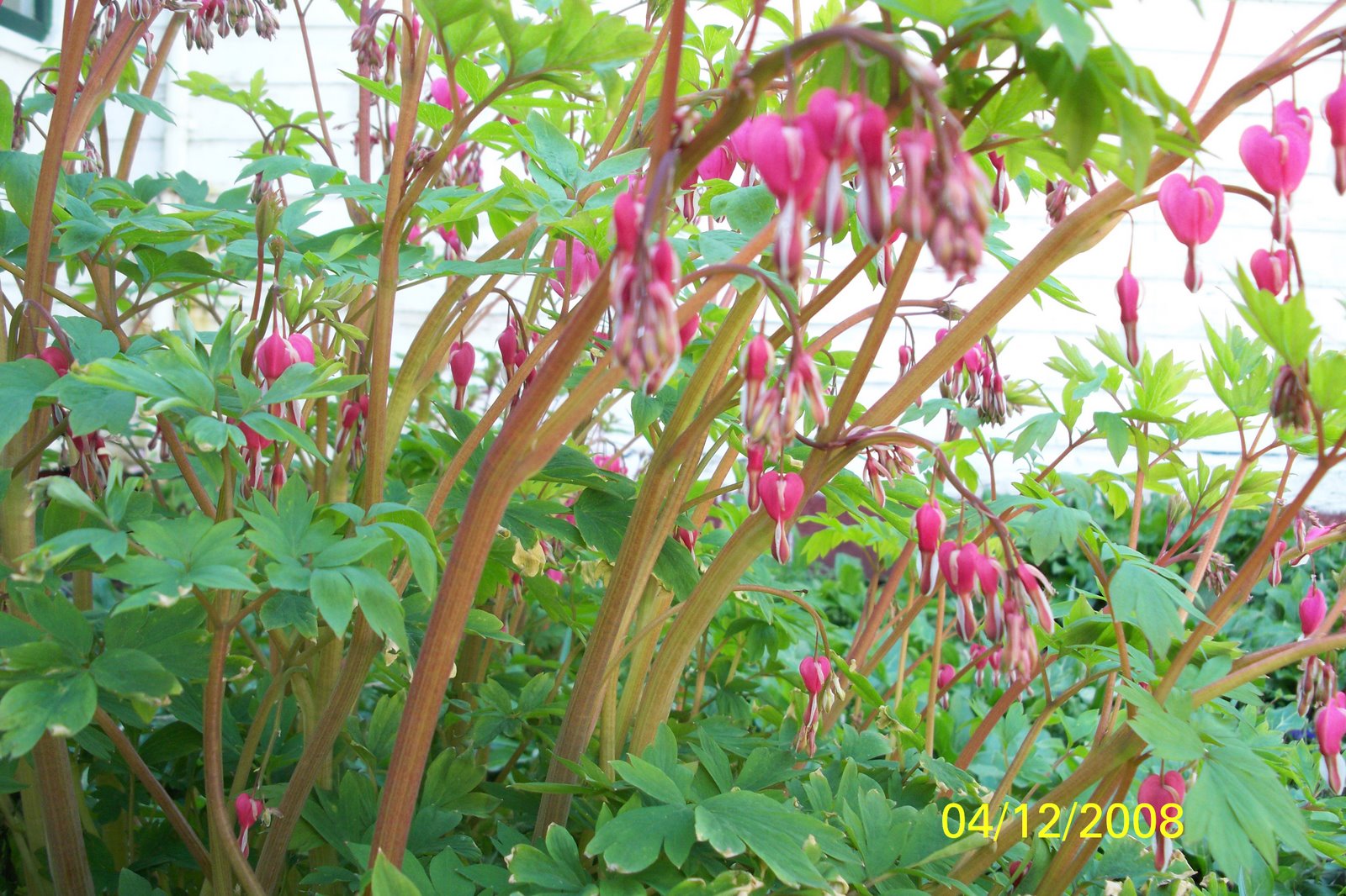 [import+41408+060.JPG]