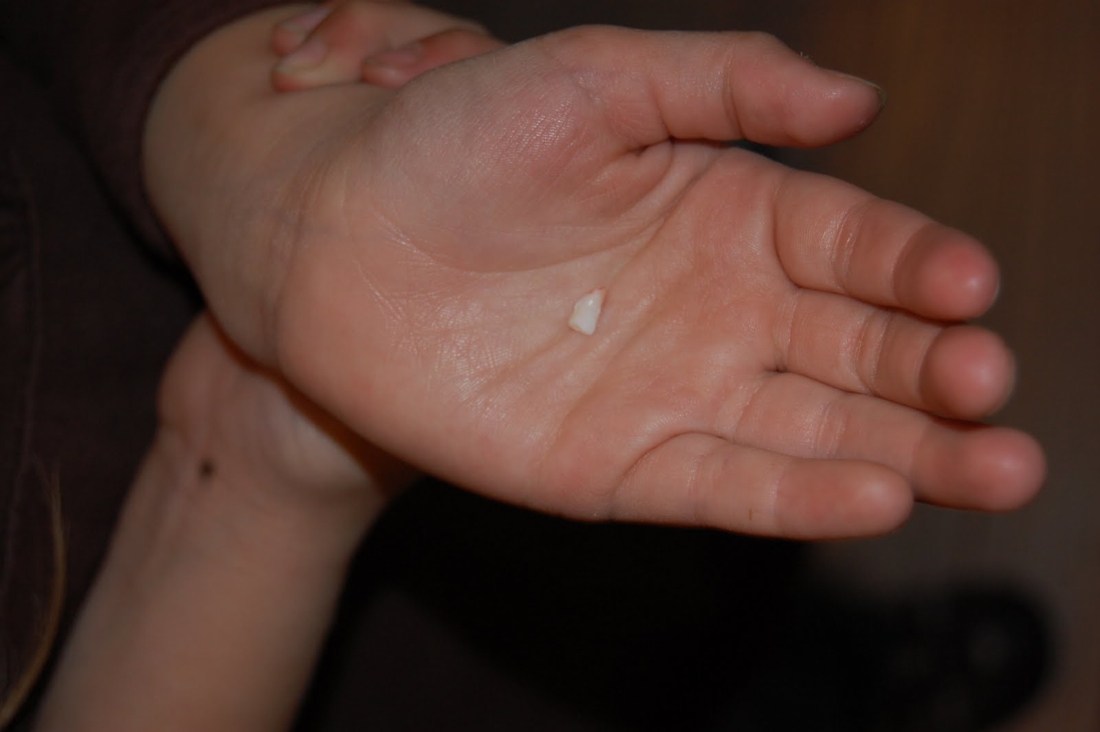 [DSC_0143.JPG]