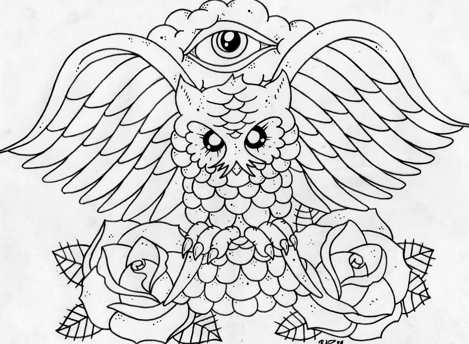 Owl Flash