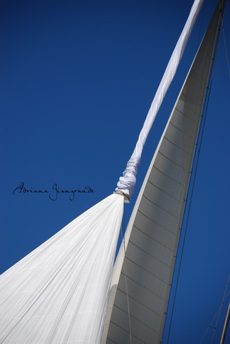 [DSC_0196+copia.jpg]