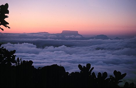si tu pensar es elevado