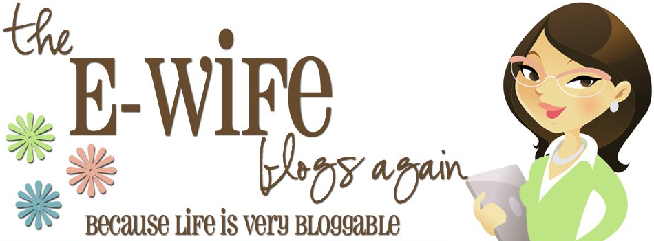 The E-Wife Blogs Again