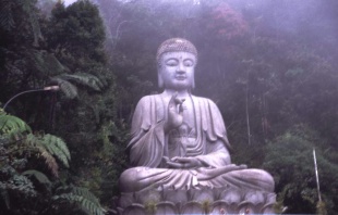 BUDHA DHAMMA