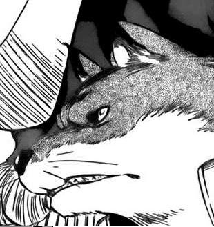 [Bleach+385.JPG]