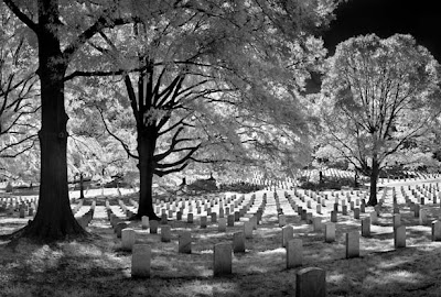 The first graves in Arlington