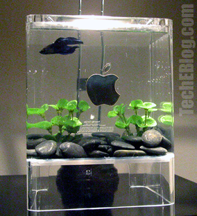 apple_aquarium.jpg