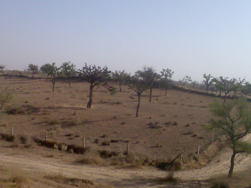 [Image000.jpg]