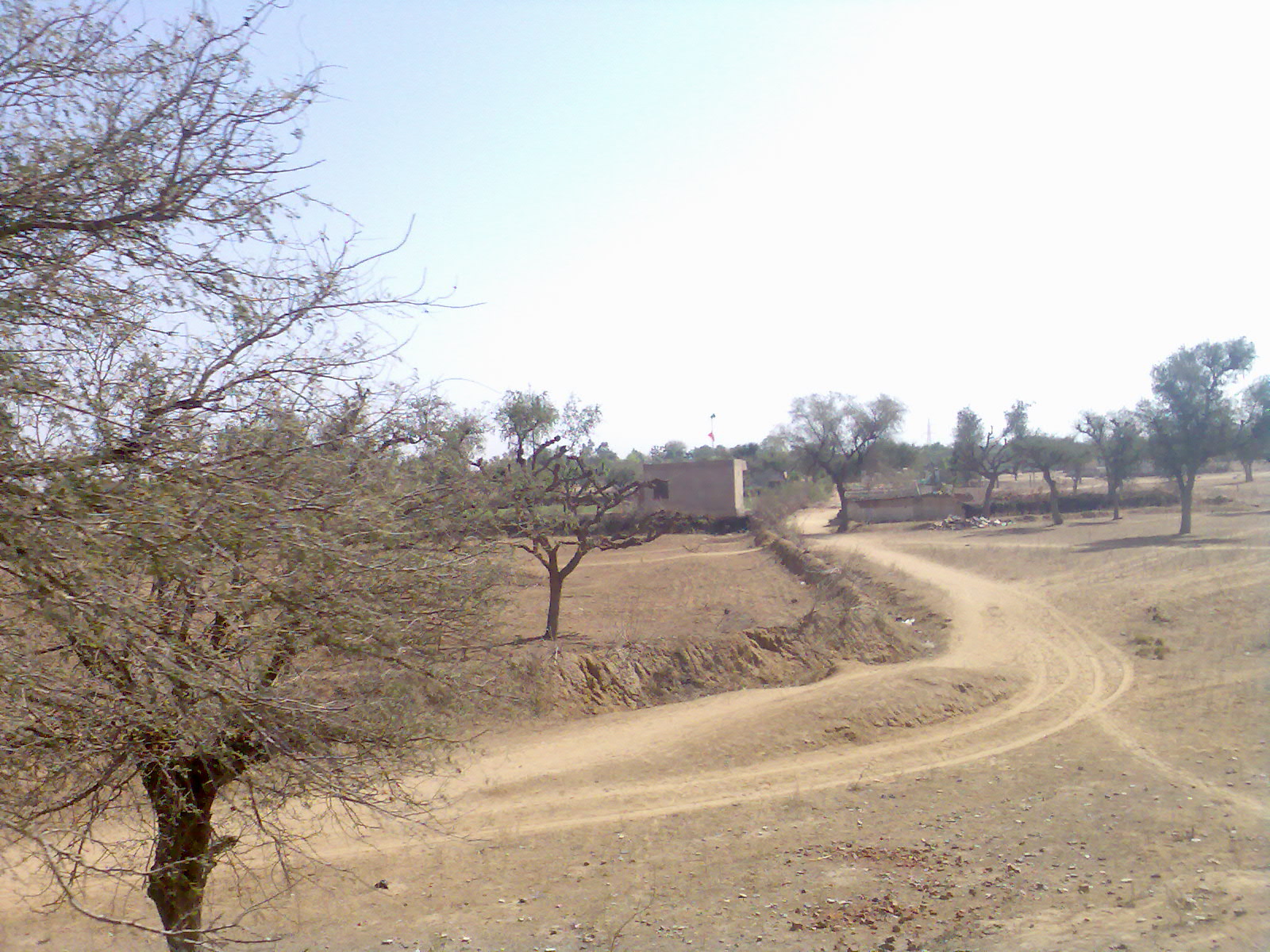 [Image003.jpg]