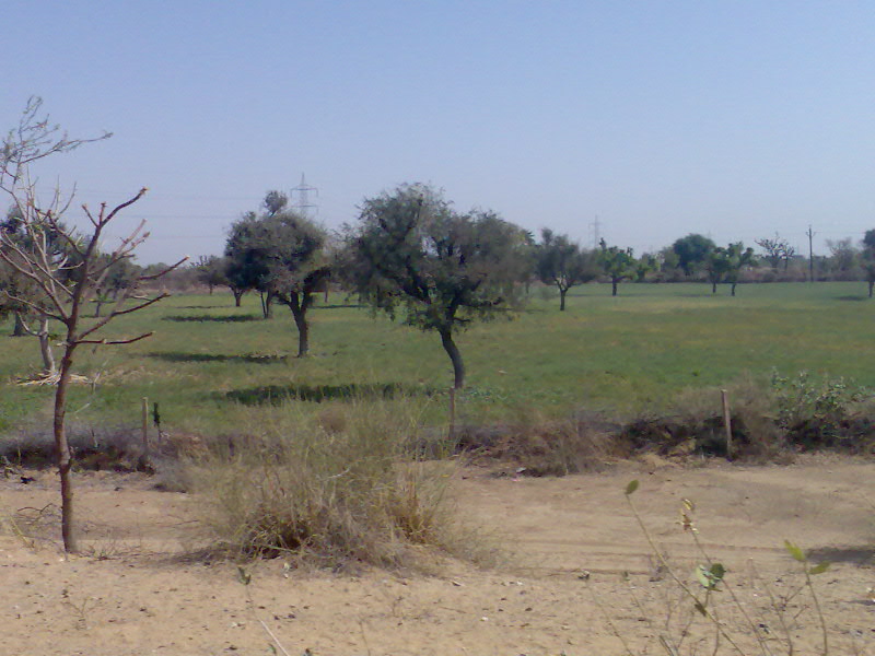 [Image004.jpg]