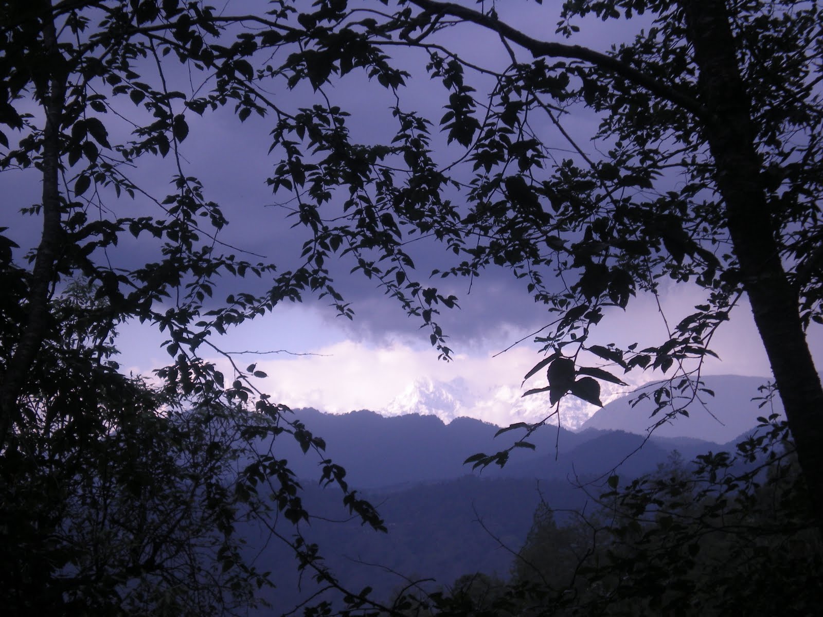 [DSCN0770.JPG]