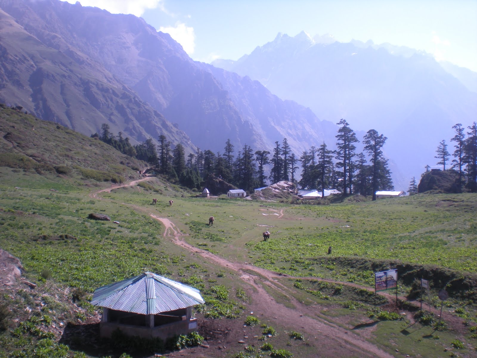 [DSCN0891.JPG]