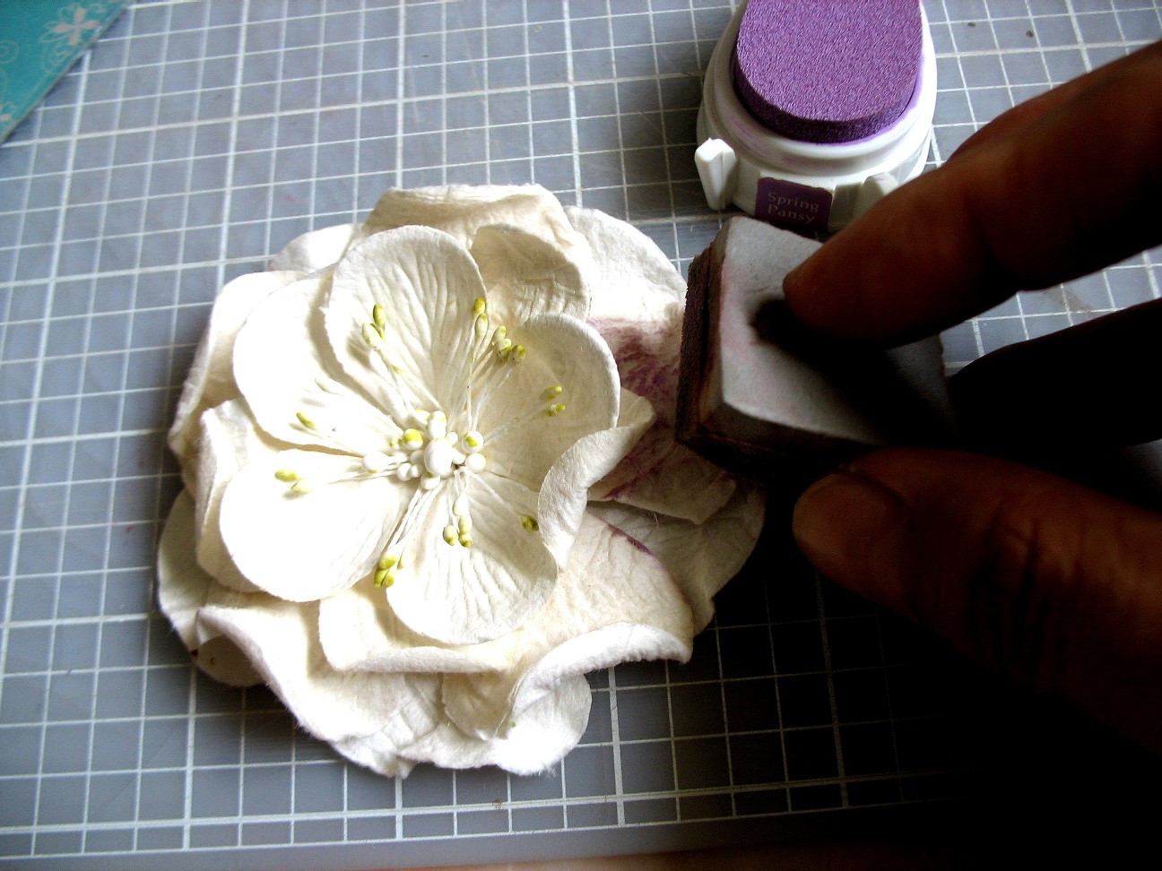 [2009_0414tutorial0027.JPG]