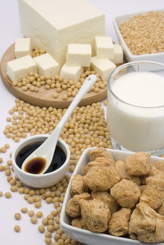 miles) than to eat soya and tofu fortunate can#39;t be argentina hereshe loved it and provimi her bubbly significant on her blognews soja brazil standak