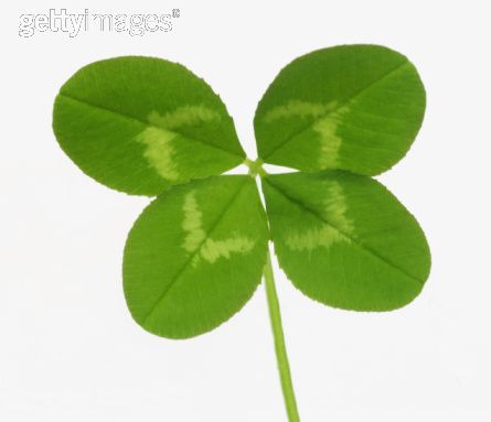 [sb10062976e-001.jpg]