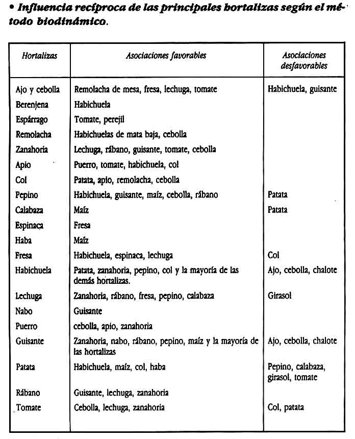 Asociacion de Cultivo