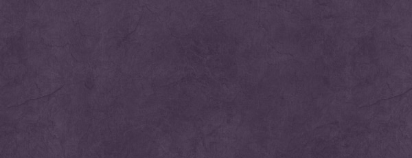 Purple Web Background