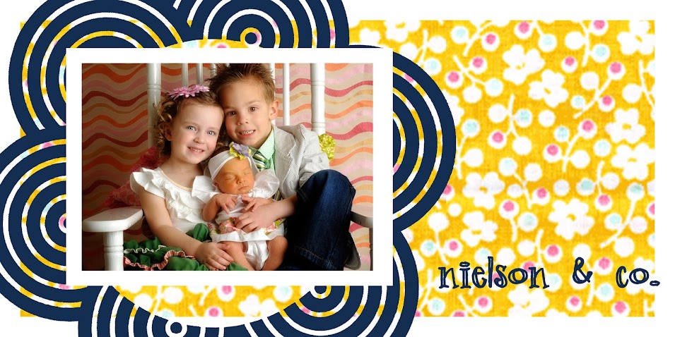 The Nielson Family