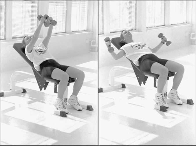 Weight Training Tips and Guide Incline chest fly