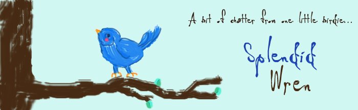 Splendid Wren