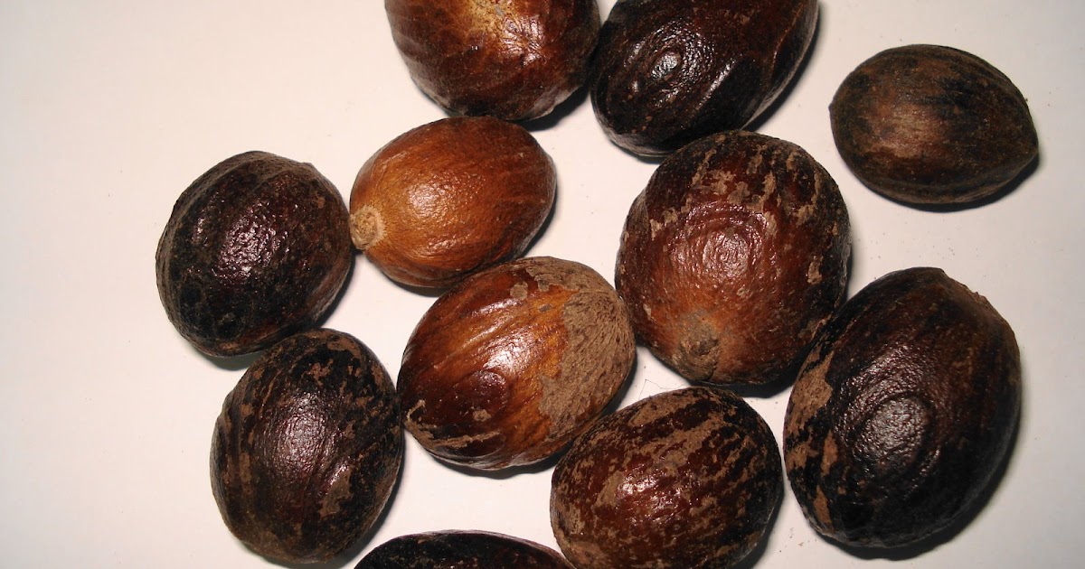 HEALING HEAVEN ON EARTH CHAUL REVDANDA Jaiphal