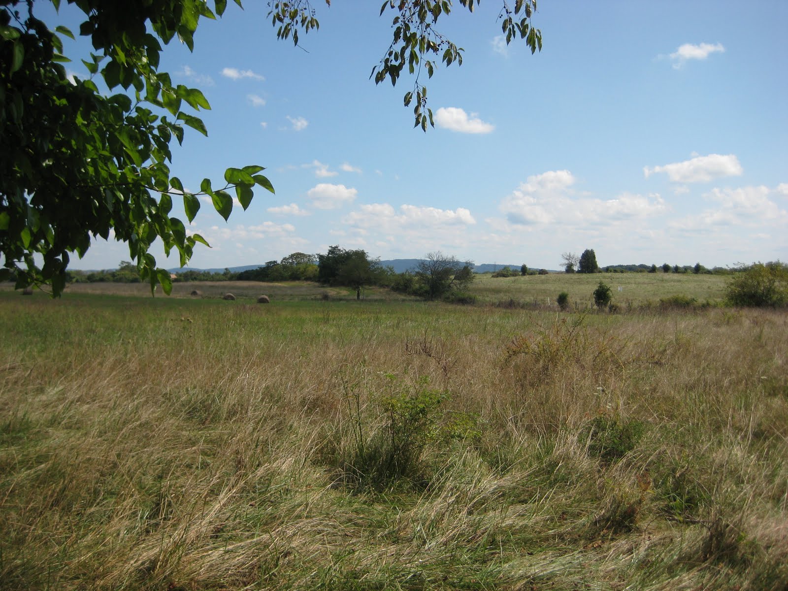 [IMG_5854.JPG]