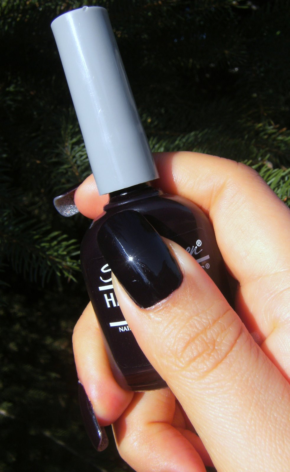 [SALLY+HANSEN+RADISH.JPG]