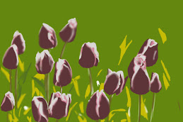 Tulipas minhas!