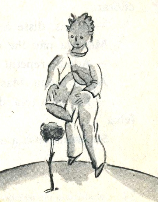 [petitPrince001.jpg]