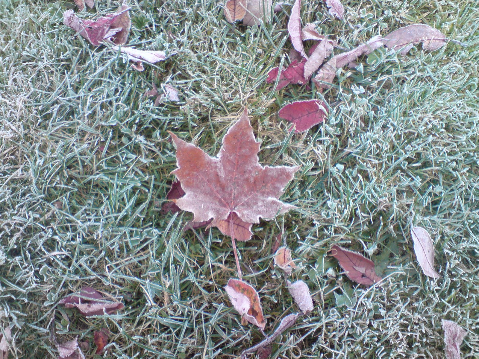 [DSC00366.JPG]