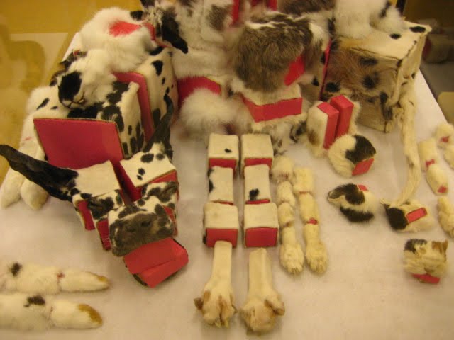 Tinkerbell's Toy made from dead dog at Art Rotterdam 2010