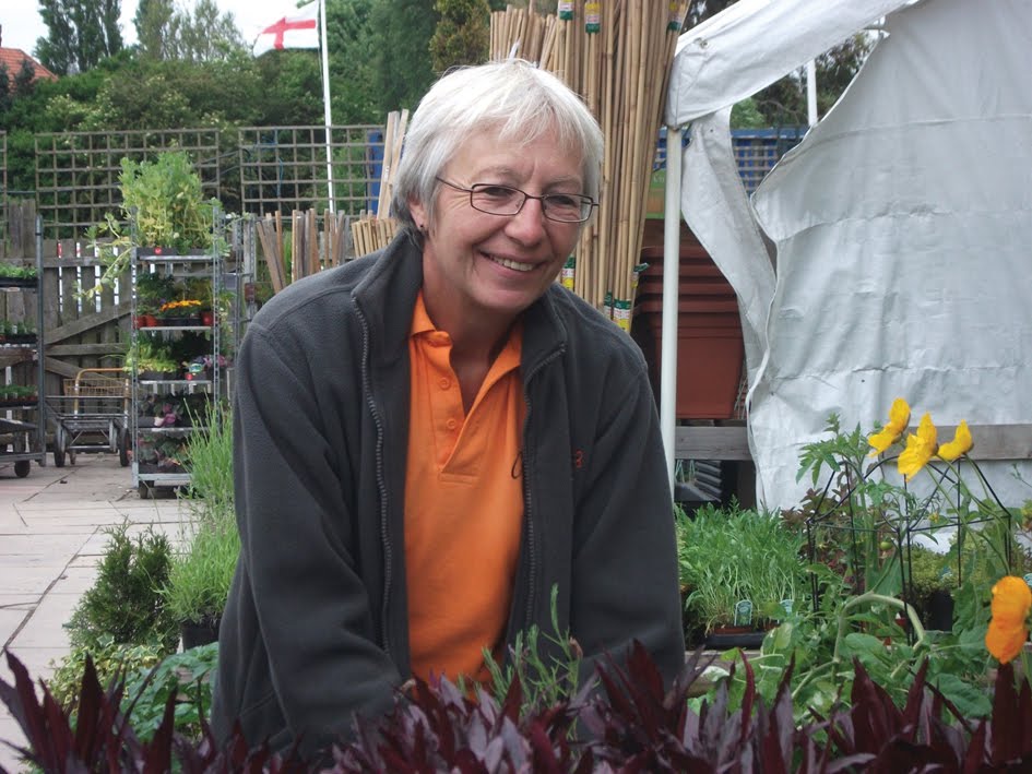 Chesters Grove: Traditional Garden Centre County Durham