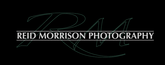 Reid Morrison Photography