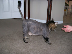My lovely shaved look! Aren't I handsome...
