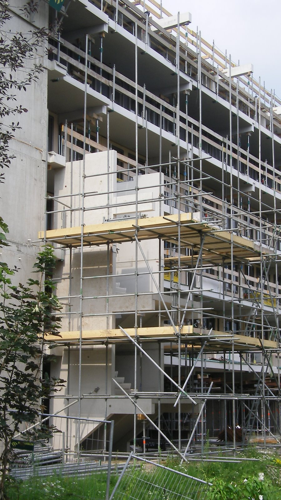 [SL550011.JPG]
