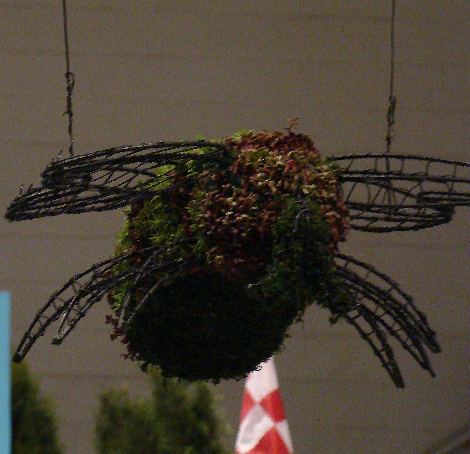 [DSC06304.JPG]