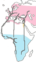 [carte_distribution_hirondelle_rustique.gif]