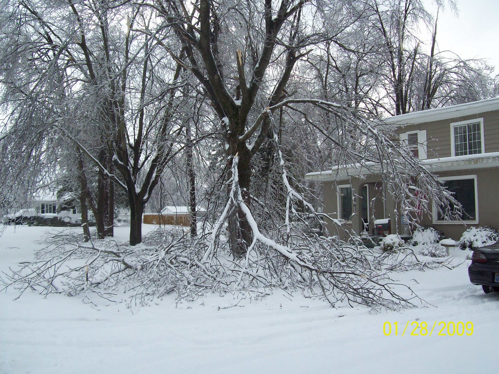 [Ice+Storm+2009+009.jpg]