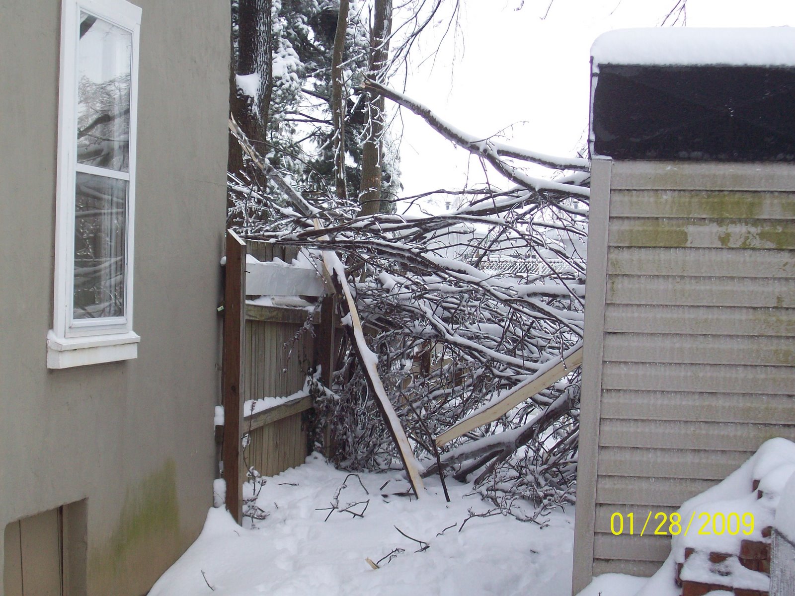 [Ice+Storm+2009+023.jpg]