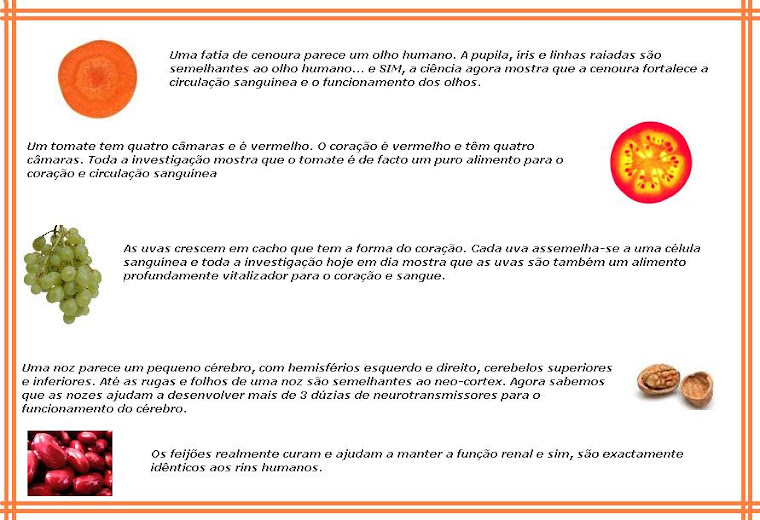 Alimentos saudáveis