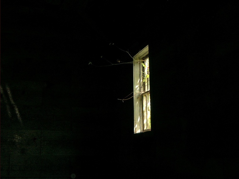 [ventana-en-la-oscuridad[1].jpg]