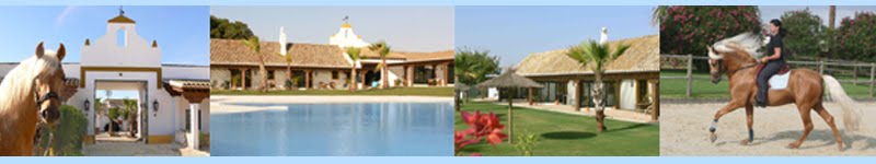 Hotelbewertungen - Hacienda El Boyal